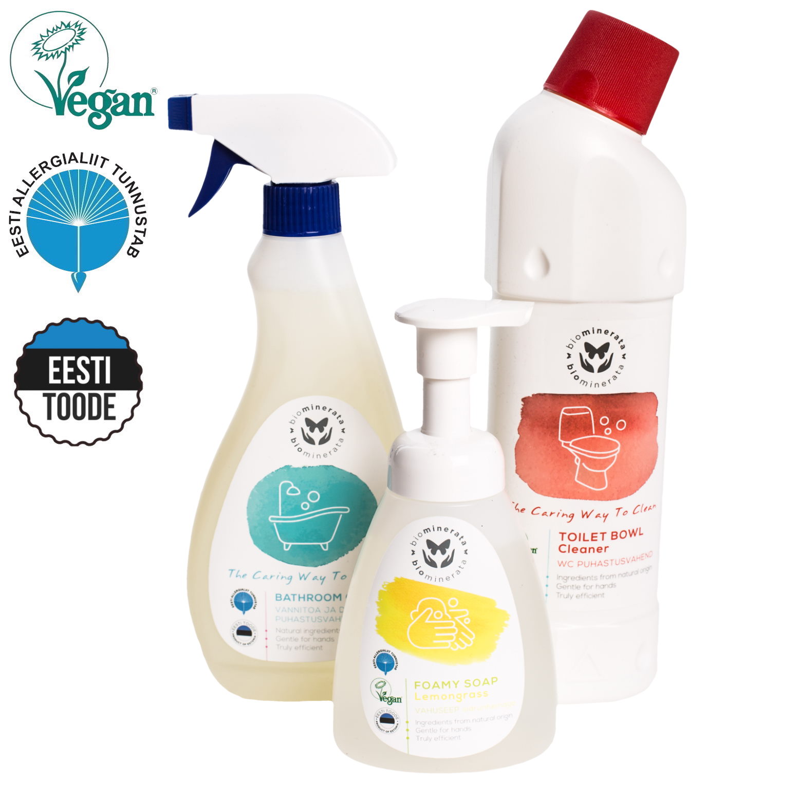 WC ja vannitoa komplekt Särav Puhtus